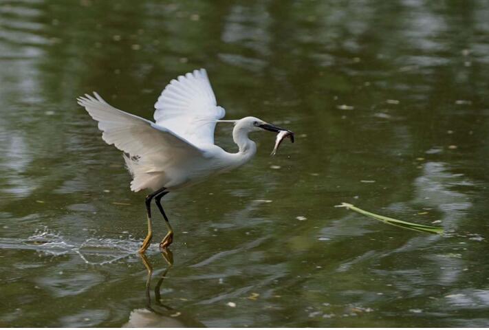 上海宜勢電子科技有限公司|連接器|繼電器|傳感器|汽車行業(yè)